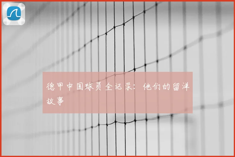 德甲中国球员全记录:他们的留洋故事