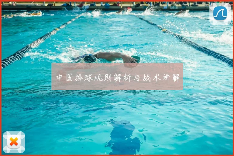 中国排球规则解析与战术讲解