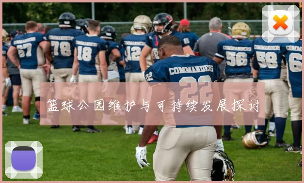 篮球公园维护与可持续发展探讨