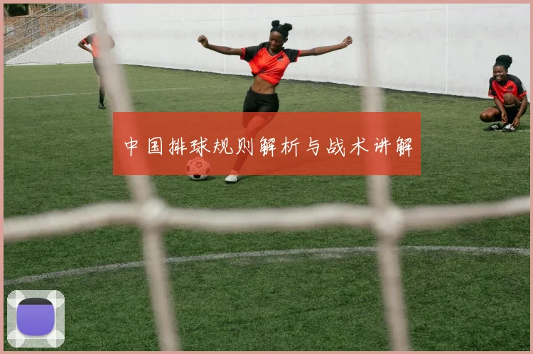 中国排球规则解析与战术讲解